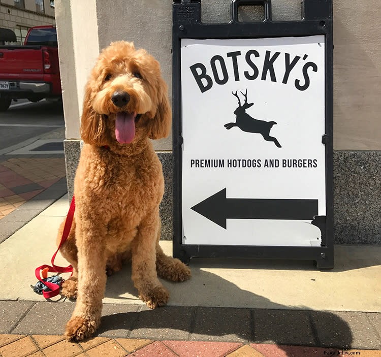 Pet-Friendly Dining in Lake Charles: Cooper s Top Picks - Part 2