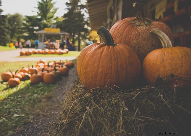 Top Kid-Friendly Halloween Events in Southwest Louisiana