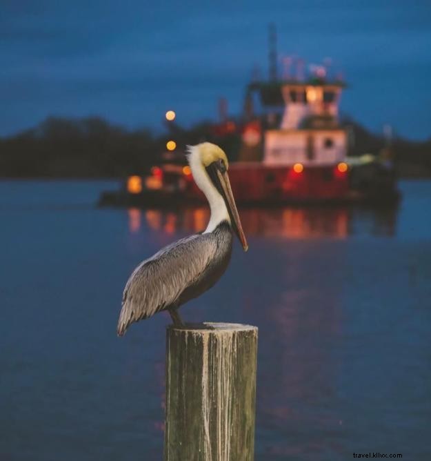 Louisiana s Enduring Spirit: #VisitLakeCharles Photo of the Month