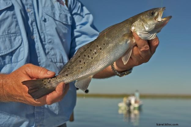 Ultimate Man-Trip Guide: Top Things for Guys to Do in Lake Charles, Louisiana