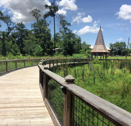 6 Compelling Reasons to Experience Groovin  at the Grove in Southwest Louisiana