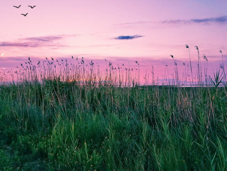 Alternative Perspectives: #VisitLakeCharles Photo of the Month Winner