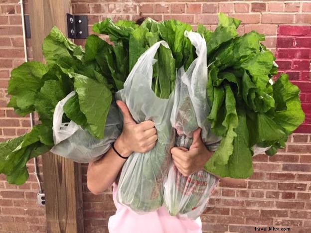 Lake Charles Farmers Markets: Your Guide to Fresh, Local Produce Year-Round