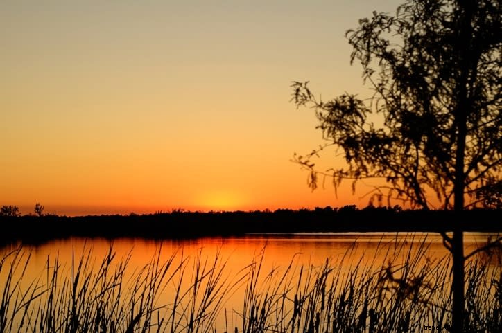 Top Summer Foodie Experiences in Lake Charles: Unmissable Culinary Events