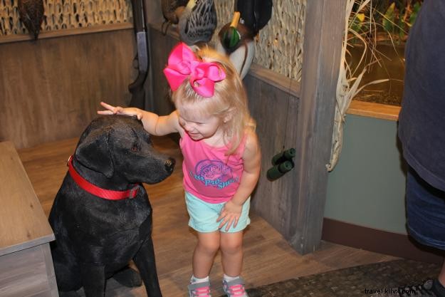 Recap: Inaugural Get Outdoors Day Draws Over 600 Visitors to Creole Nature Trail Adventure Point