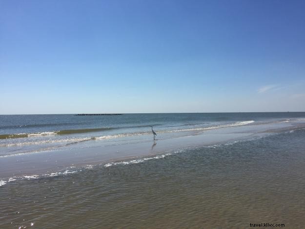 Spontaneous Family Beach Adventure on the Creole Nature Trail