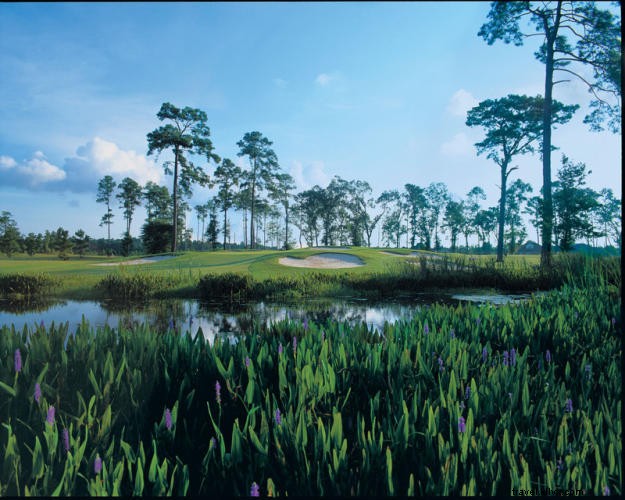 TripAdvisor Raves: Top Golf Courses in Lake Charles, Louisiana