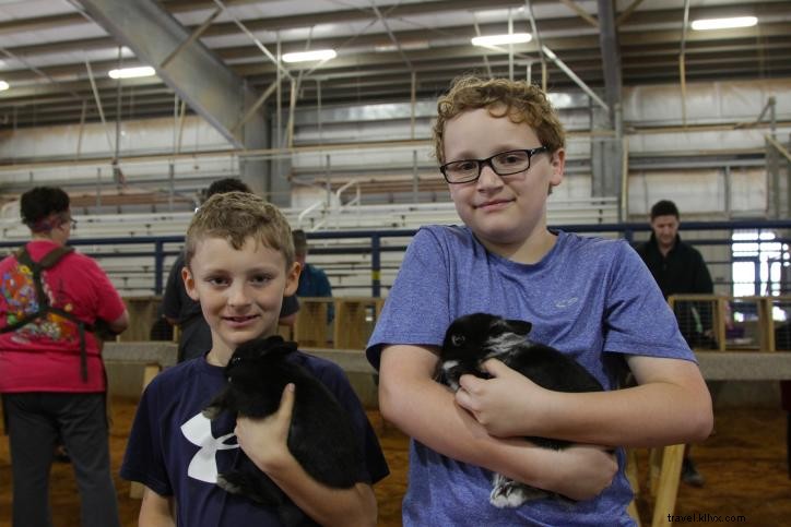 3 Compelling Reasons to Attend the Iowa Rabbit Festival in Southwest Louisiana