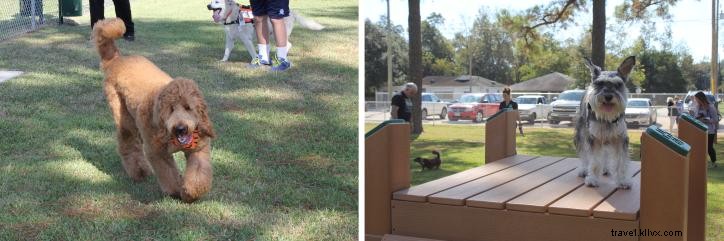 Fideaux Field: Sulphur, Louisiana s Premier New Dog Park