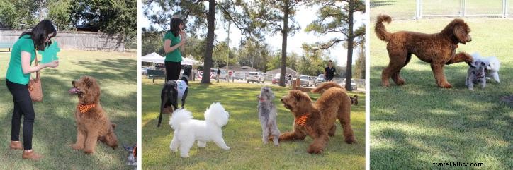 Fideaux Field: Sulphur, Louisiana s Premier New Dog Park