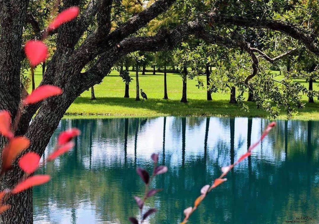 Serenity Captured: #VisitLakeCharles Photo of the Month at Grand Lake