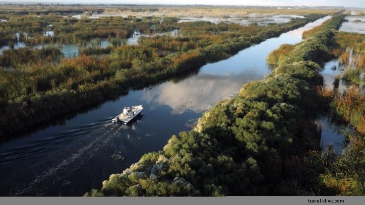 Stunning Aerial Views of Lake Charles: A Photographer s Bird s-Eye Journey
