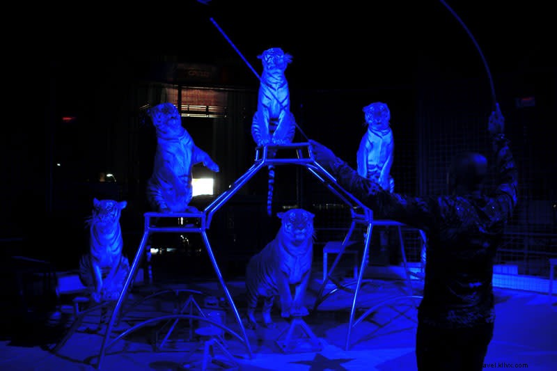 Habibi Shrine Circus Arrives in Lake Charles: Family Entertainment Highlights