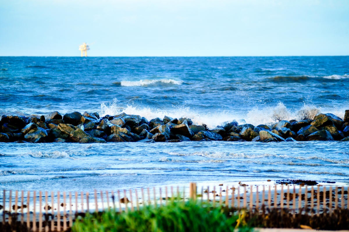 Best Picnic Spots in Southwest Louisiana: Scenic Outdoor Gems