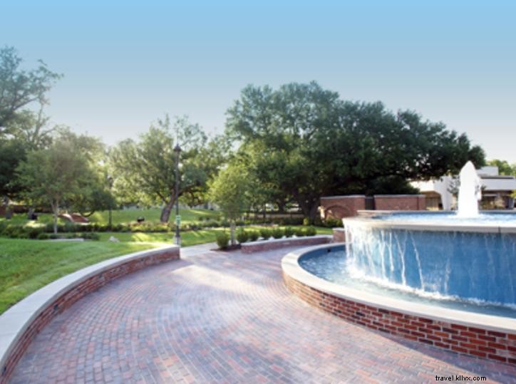 Best Picnic Spots in Southwest Louisiana: Scenic Outdoor Gems