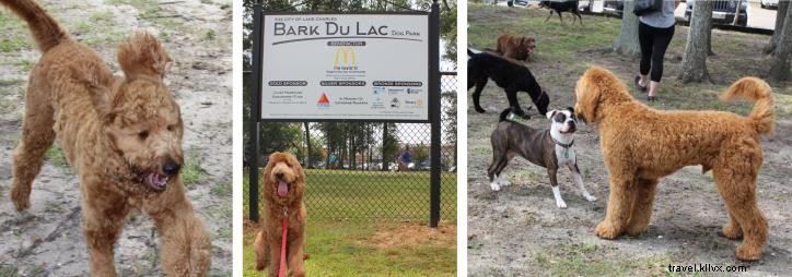Top Dog-Friendly Parks, Restaurants, and Hotels in Lake Charles, LA