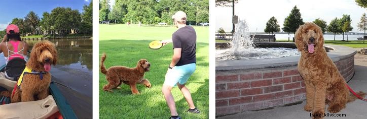Top Dog-Friendly Parks, Restaurants, and Hotels in Lake Charles, LA