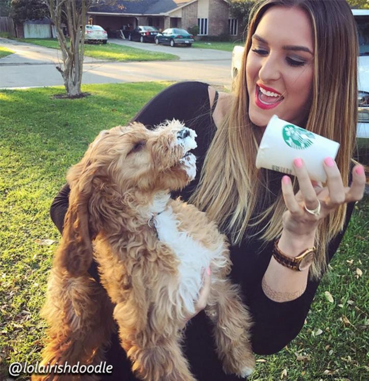 Top Dog-Friendly Parks, Restaurants, and Hotels in Lake Charles, LA