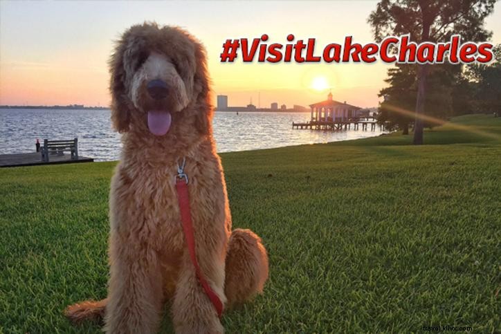 Top Dog-Friendly Parks, Restaurants, and Hotels in Lake Charles, LA