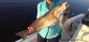 Pokémon s Top 6 Real-Life Cousins in Southwest Louisiana: Spot Them on the Creole Nature Trail