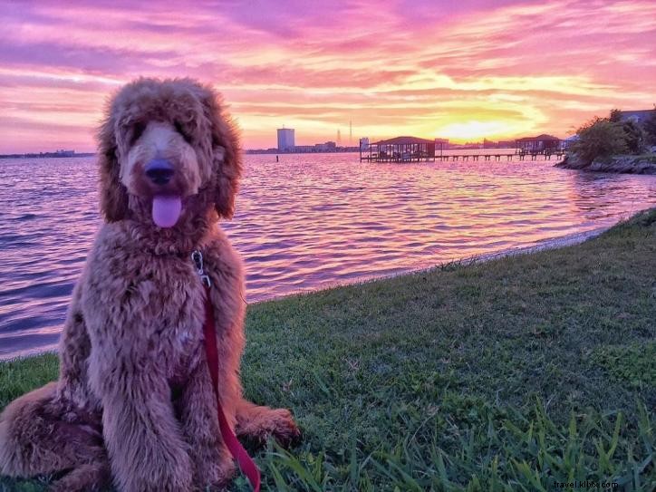 16 Best Parks in Lake Charles, LA: Family-Friendly Spots & Outdoor Gems