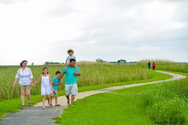 15 Epic Ways to Maximize Your Louisiana Summer in Lake Charles