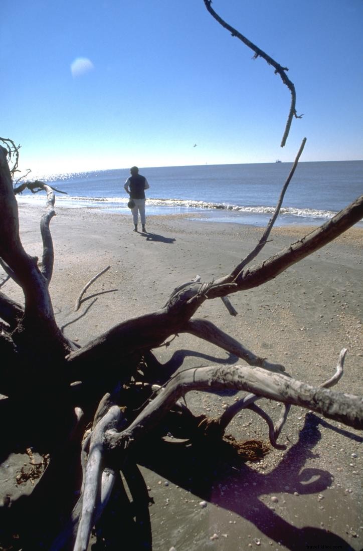 One-Tank Getaway: Pristine Gulf Coast Beaches Along Louisiana s Creole Nature Trail