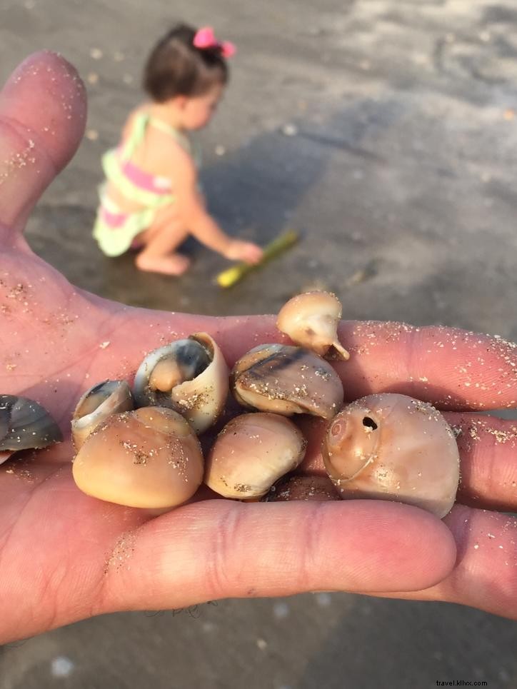 Ultimate Family Beach Day Guide: Tips for Cruising Cameron Parish Beaches with Kids