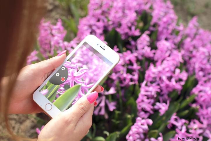 Ultimate Road Trip Guide: Austin, TX to Lake Charles, LA – Essential Stops and Tips