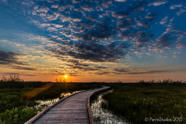 Discover Top Tour Experiences in Southwest Louisiana