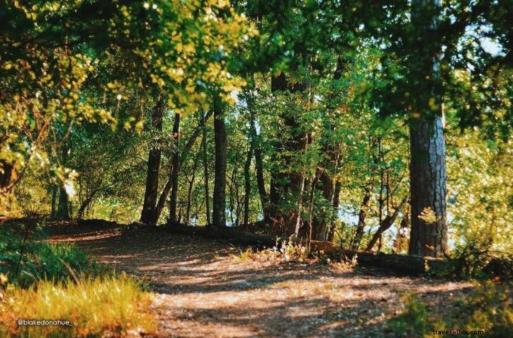 Stunning Trails at Sam Houston Jones State Park: #VisitLakeCharles Photo of the Month