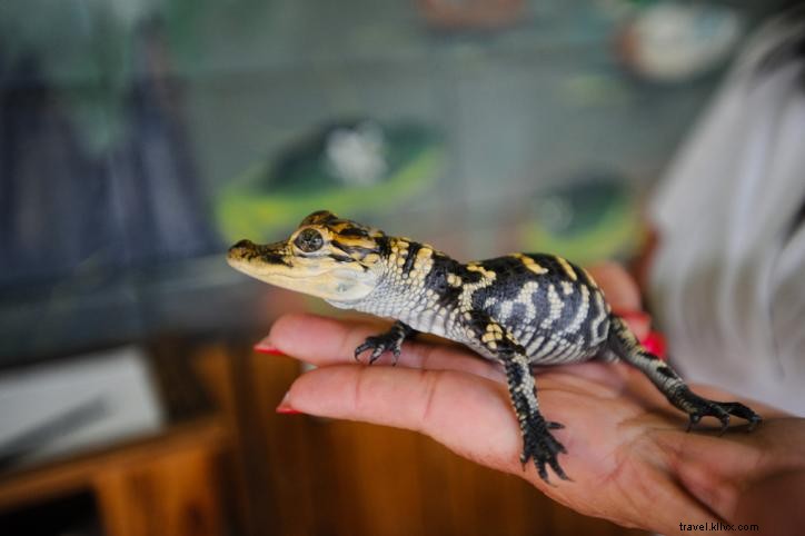 Celebrating National Travel & Tourism Week 2016: Events and Impact in Lake Charles