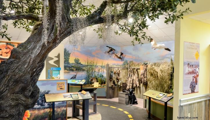 Essential Tips for First-Time Visitors to Lake Charles, Louisiana