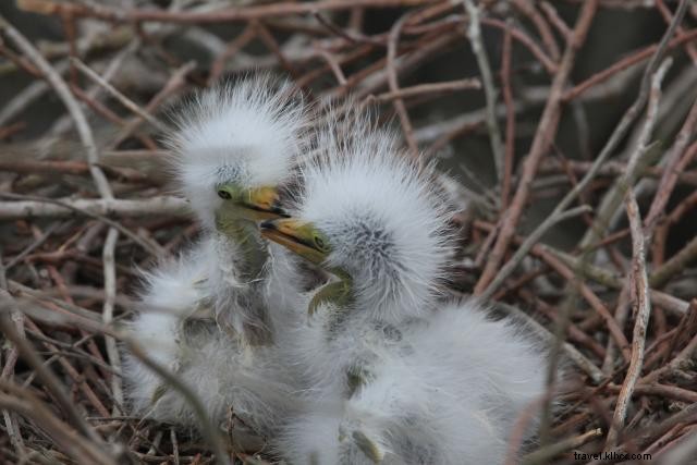 Breathtaking Grosse Savanne Sunset: #VisitLakeCharles Photo of the Month Winner