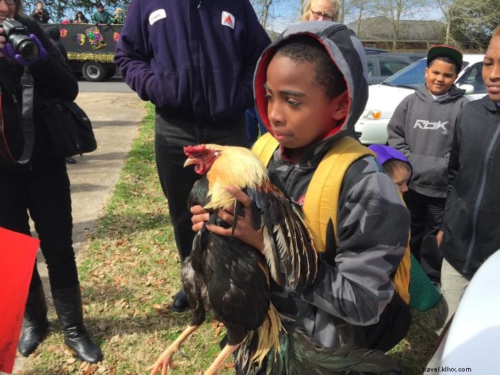 Mardi Gras in Lake Charles 2016: Family-Friendly Parades, Events & Full Schedule