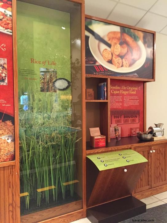 Louisiana Rice: From Farm to Table – A Behind-the-Scenes Adventure