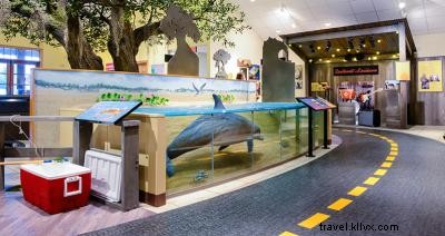 10 Best Things to Do with Kids in Southwest Louisiana: Family Fun Guide