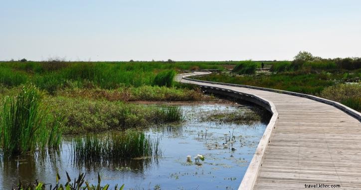 Top 6 Must-Do Sunday Activities in Lake Charles & Southwest Louisiana