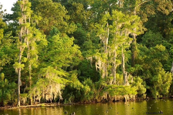 Top 6 Must-Do Sunday Activities in Lake Charles & Southwest Louisiana