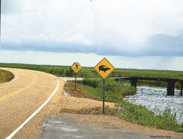 Top 5 Most Frequently Asked Questions by Visitors to Southwest Louisiana – Expert Answers