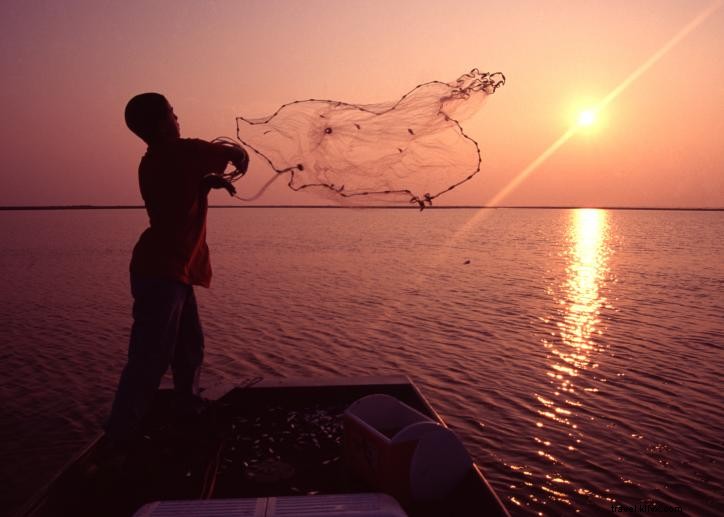 Catching and Savoring Fresh Louisiana Seafood: A Southwest Louisiana Culinary Adventure