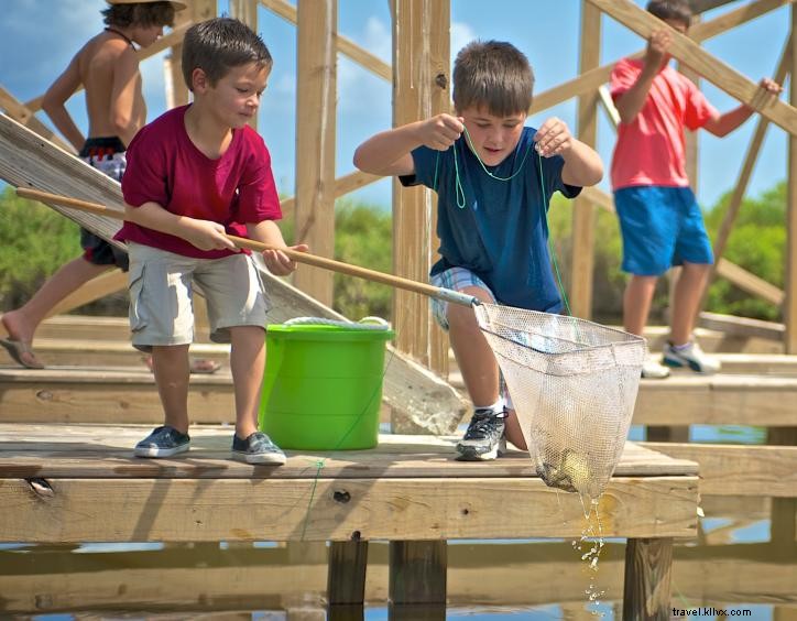 Catching and Savoring Fresh Louisiana Seafood: A Southwest Louisiana Culinary Adventure