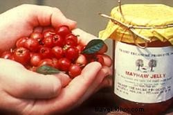 Discover the Sweet Charm of the Starks Mayhaw Festival, May 14-16