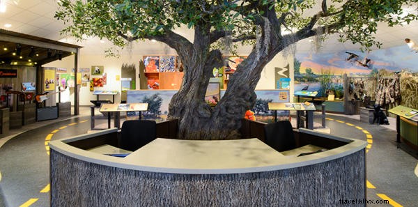 Creole Nature Trail Adventure Point: Immersive Adventures in Southwest Louisiana