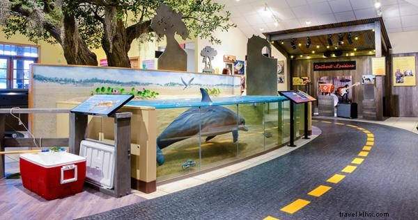 Creole Nature Trail Adventure Point: Immersive Adventures in Southwest Louisiana