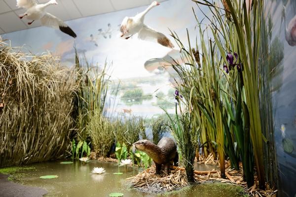 Creole Nature Trail Adventure Point: Immersive Adventures in Southwest Louisiana