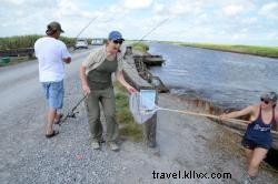 Cast Net Shrimping in Southwest Louisiana: A Local s Guide to Rockefeller Wildlife Refuge
