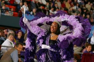 Mardi Gras Majesty: Stunning Costumes at Lake Charles  Royal Gala