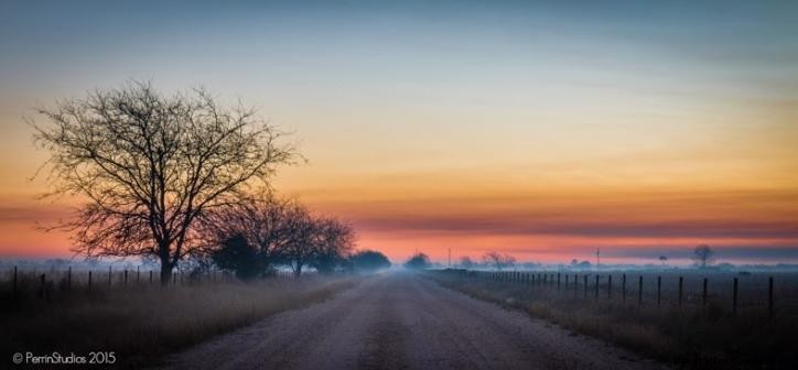Rediscovering Southwest Louisiana: A Photographer s Journey Through Stunning Local Landscapes