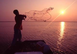 Authentic Louisiana Shrimp Stew: A Family Favorite with Gulf Shrimp Benefits